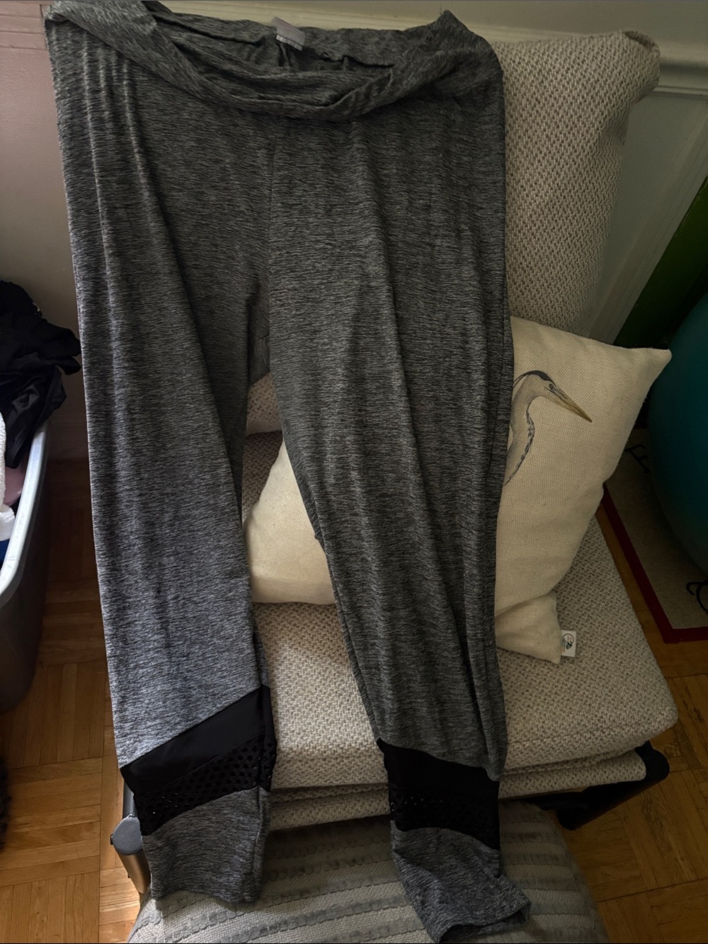 Exercise pants